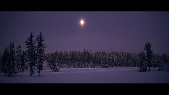 White Adventure, a trip in Finnish Lapland by -40°C