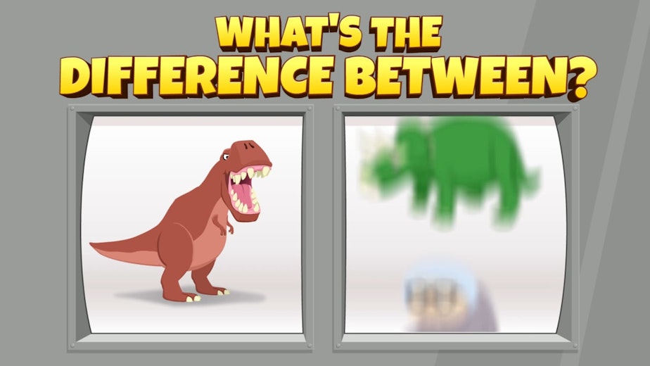WHAT'S THE DIFFERENCE BETWEEN A T REX AND...