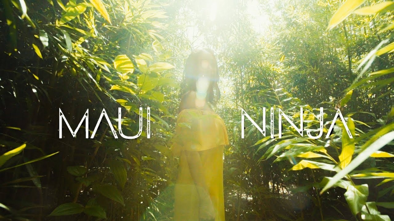 The Green - "Maui Ninja" (Lyric Video)