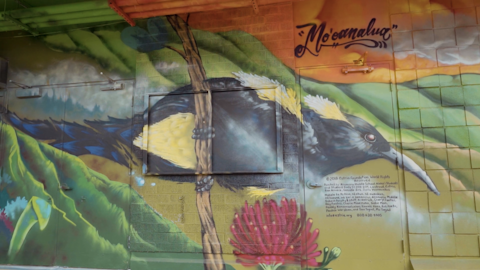 Moʻoanalua | Mele Murals