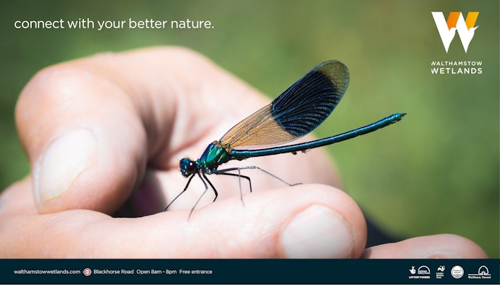 Walthamstow Wetlands -