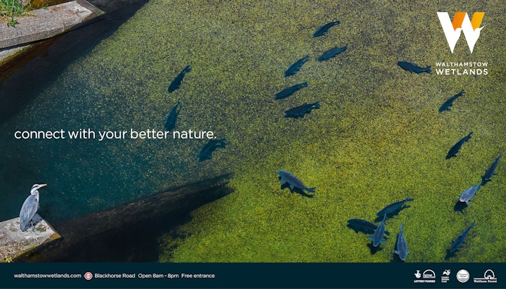 Walthamstow Wetlands -