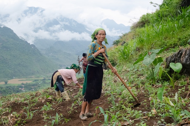 VIETNAM - The Lady of Long Tam Valley I, Fuji Film X-H2s