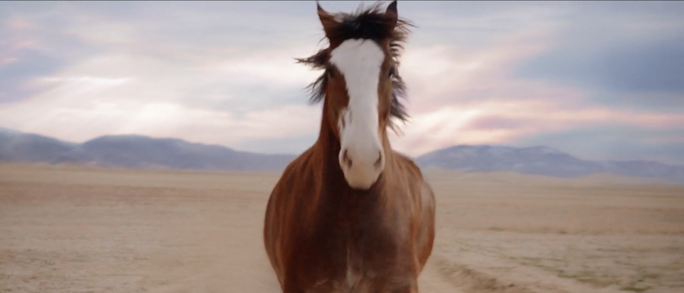 Budweiser - "A Clydesdales Journey" - Chloe Zhao Superprime