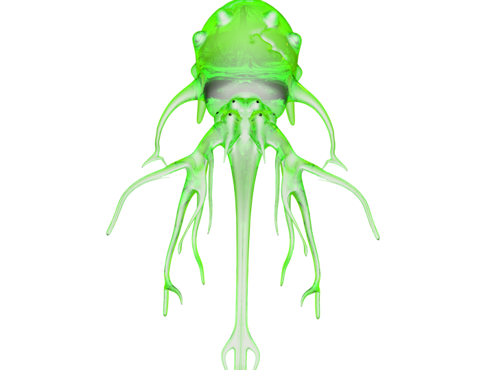 Entity Researchers - Video game design