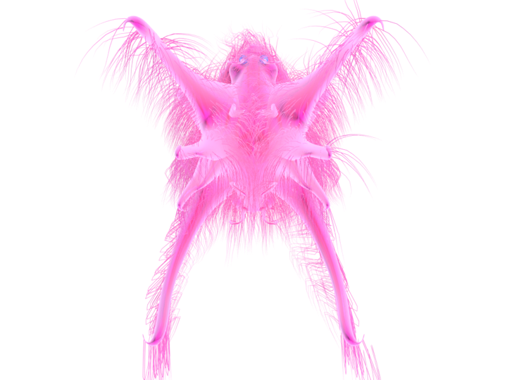 Entity Researchers - Video game design