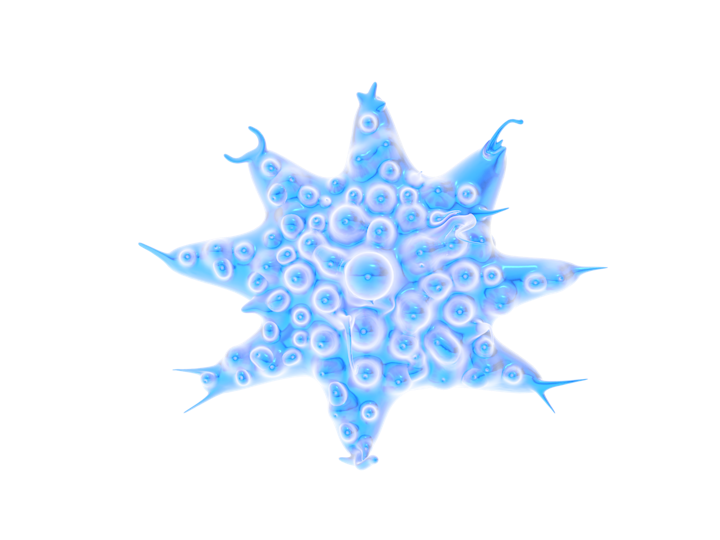 Entity Researchers - Video game design