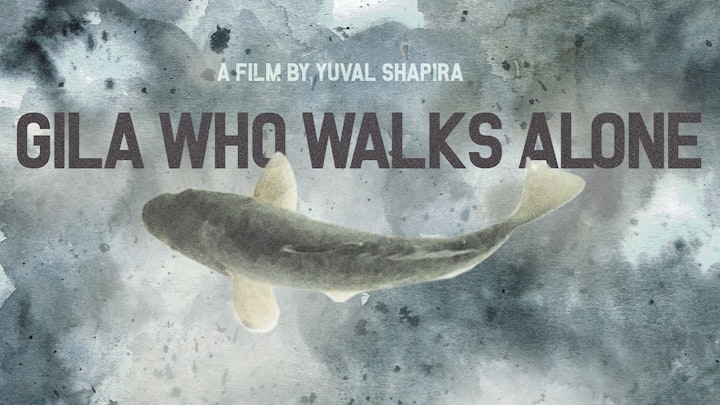 Gila Who Walks Alone | Short Film