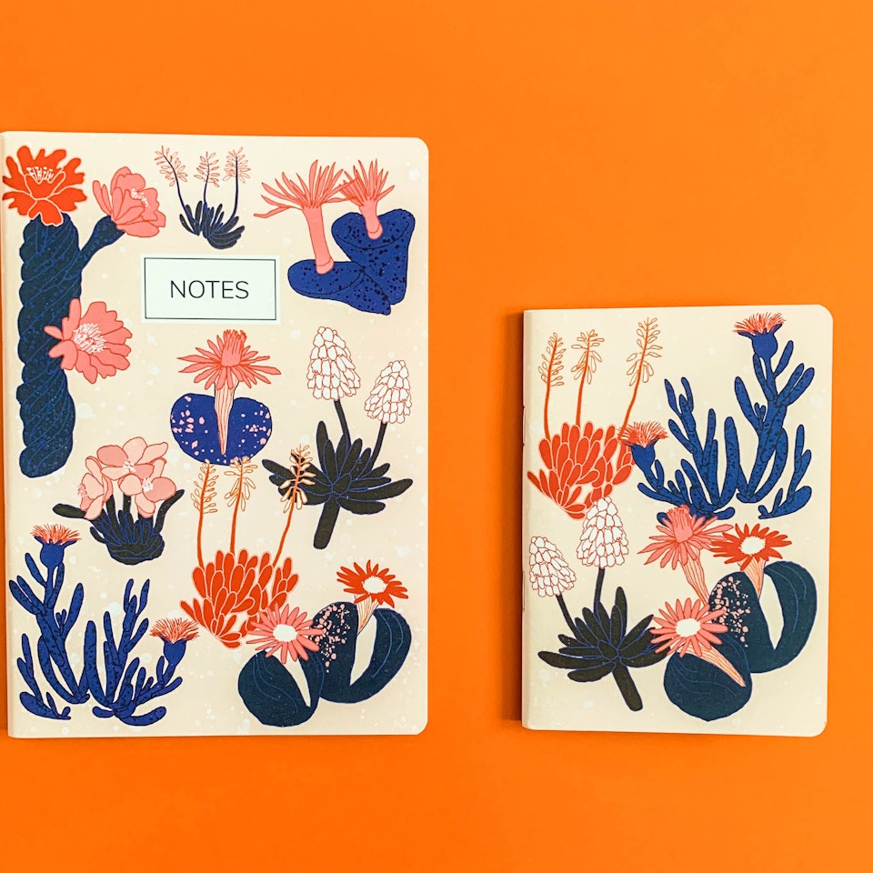 Notebooks | Personal project IMG-0249