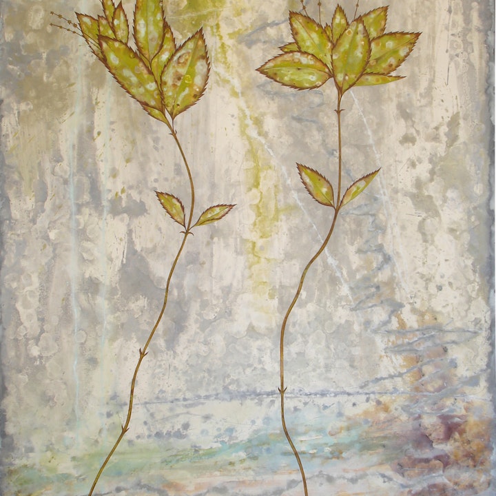 CRAG WOOD - MERCURIALIS ANNUA (107x165) 2009
Pigment, gesso on canvas