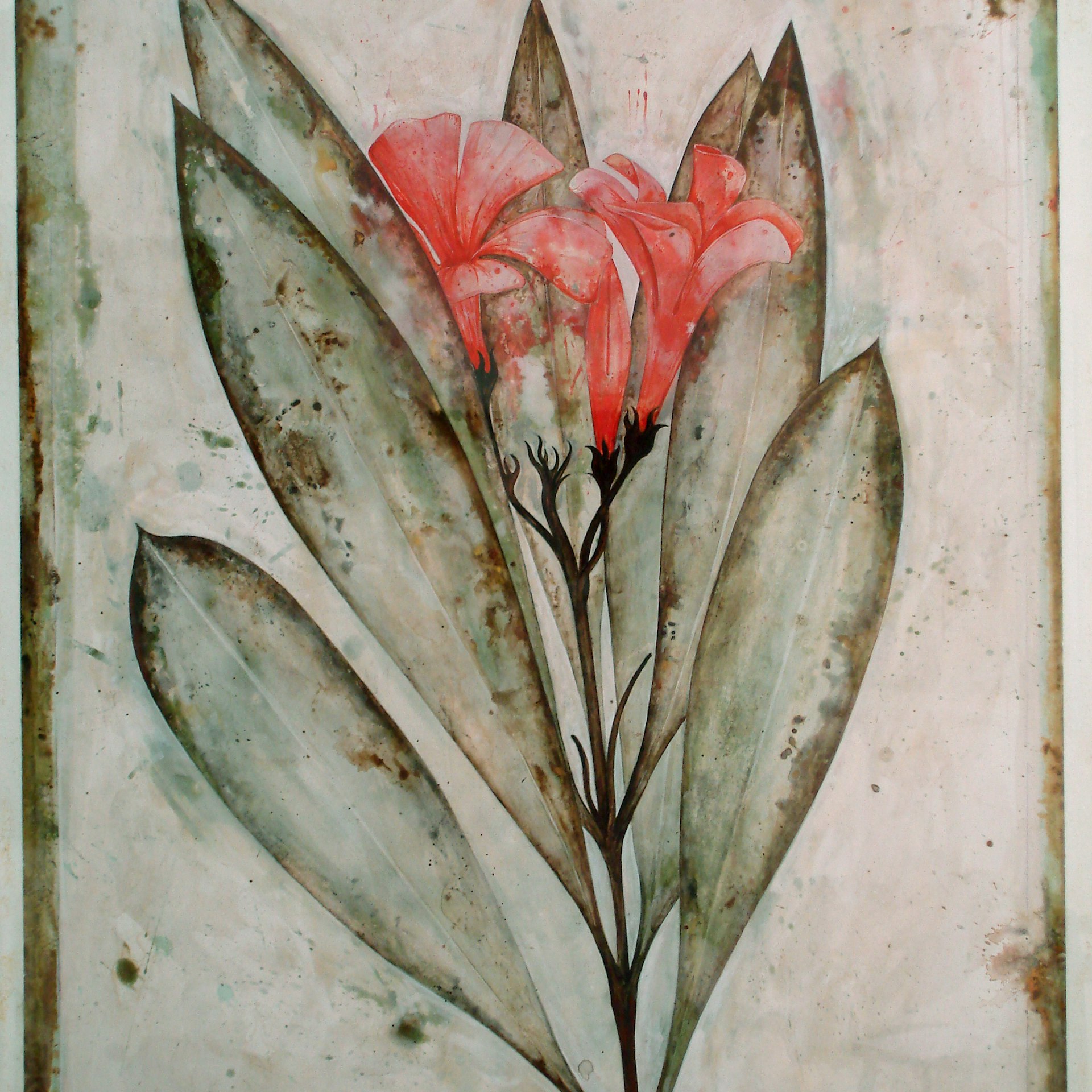 ARCHIVE DAVID CAMPBELL