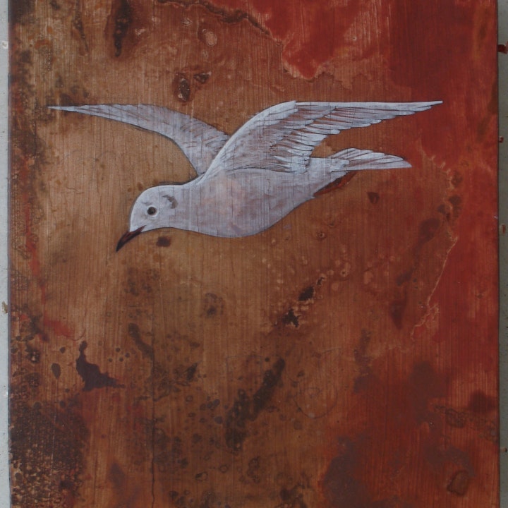 LARUS RIDIBUNDUS (27x32) 2012
Pigment, iron oxide, gesso on panel