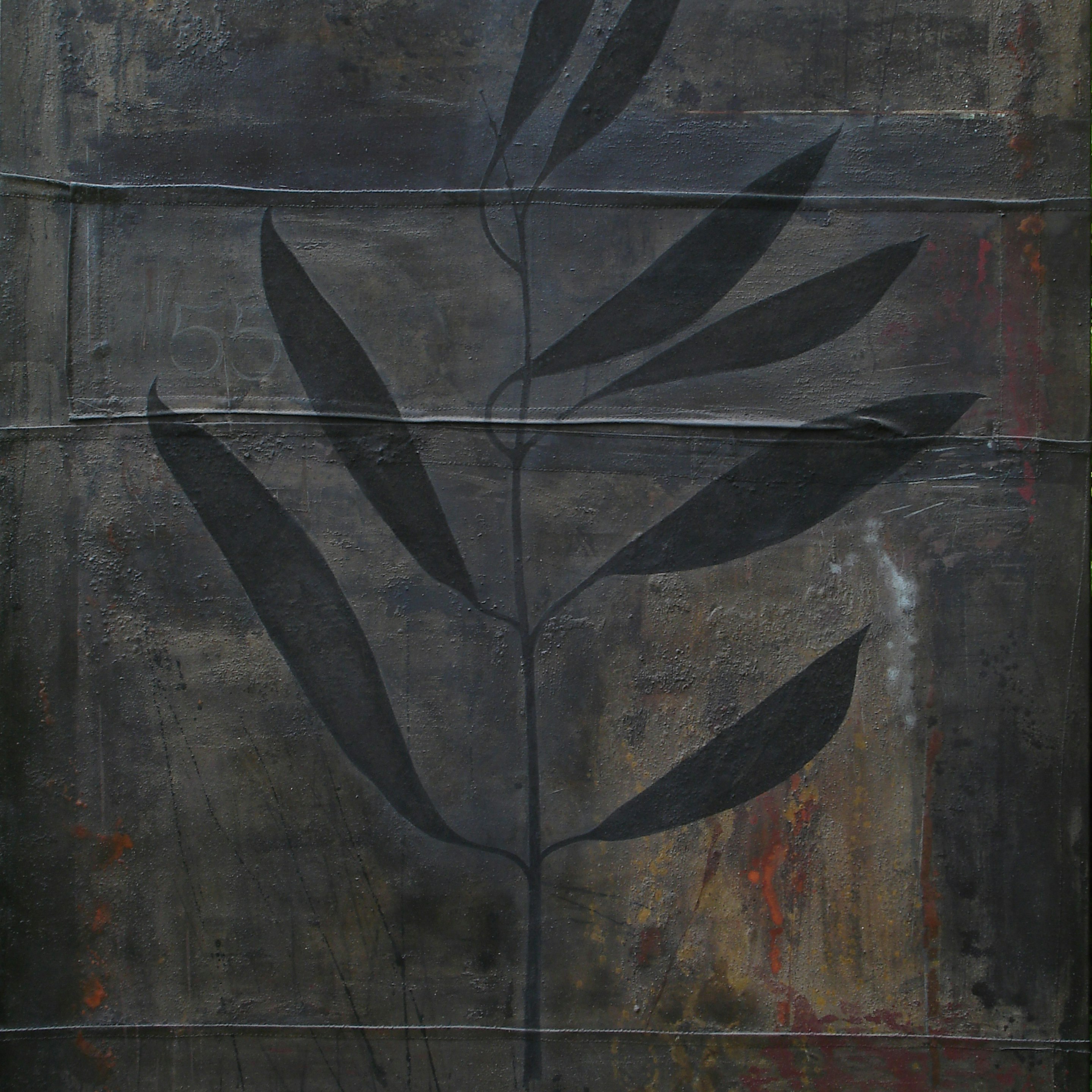 ARCHIVE DAVID CAMPBELL