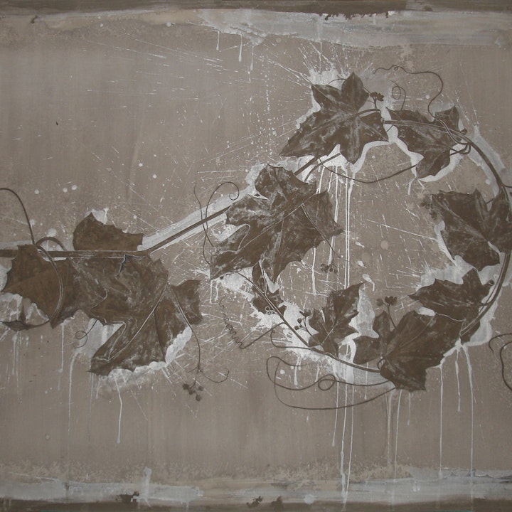 BRYONIA DIOICA (167x112) 2008
Pigment, slate and metallic powder, bitumen and gesso on board