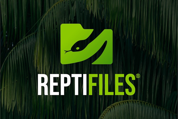 Logo Design | Reptifiles