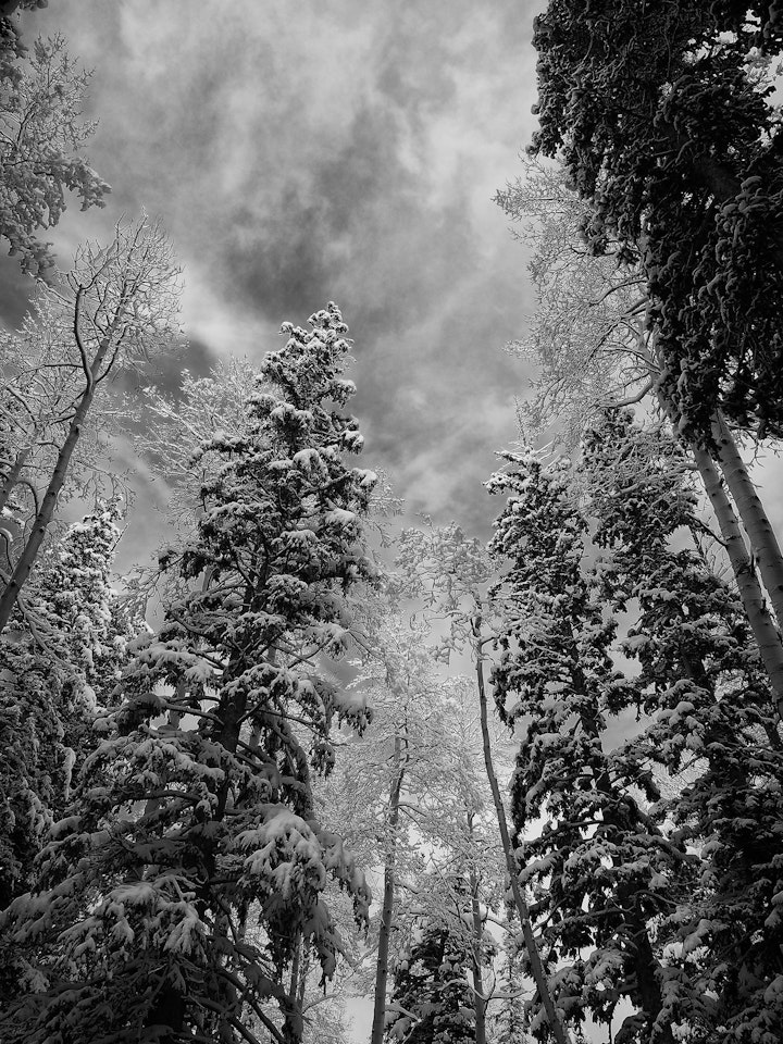 P2110368-Edit