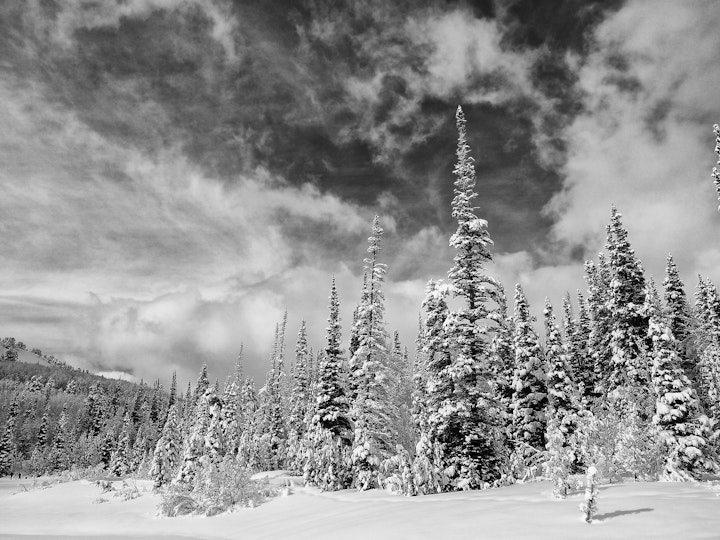 P2110415-Edit