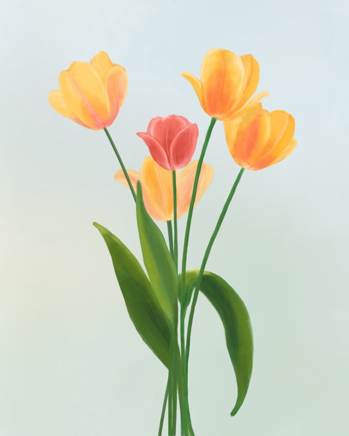 Tulips