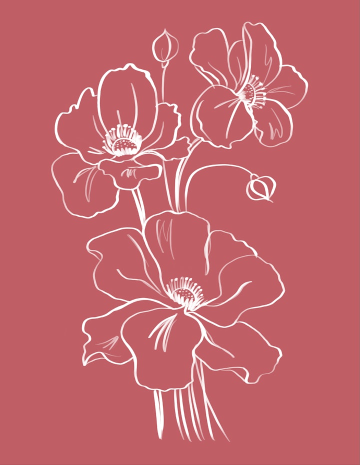 Poppies_Illustration-01