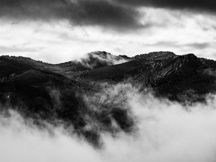 P9231147-Edit