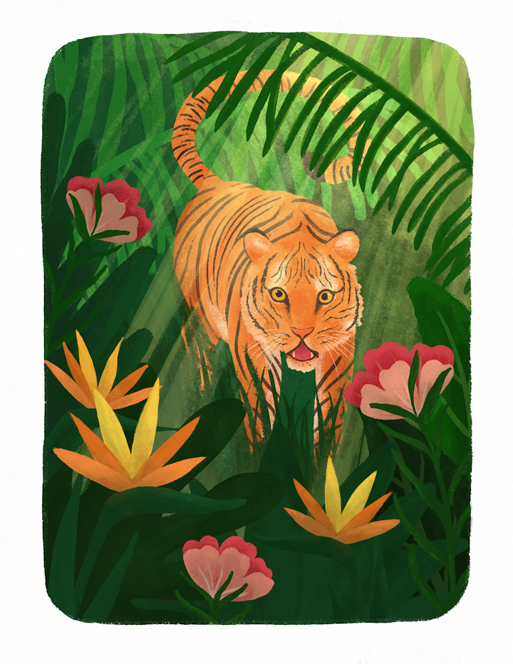 Tiger_WEB