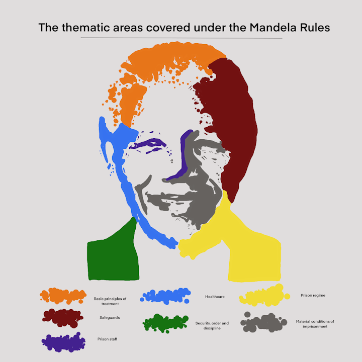 An overview of the areas covered by the Nelson Mandela Rules, a set of standards related to the prison system through a portrait, digitally drawn with Procreate on IPAD PRO.