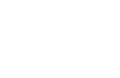 The Directors Club