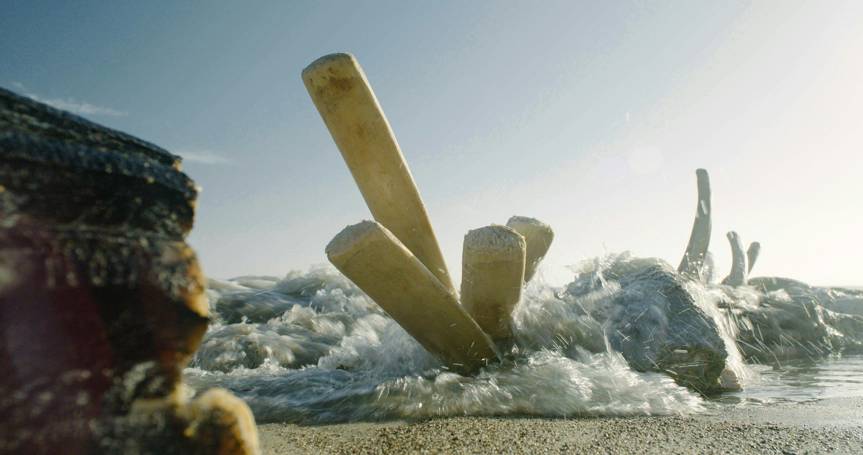 PtReyes_still4 -