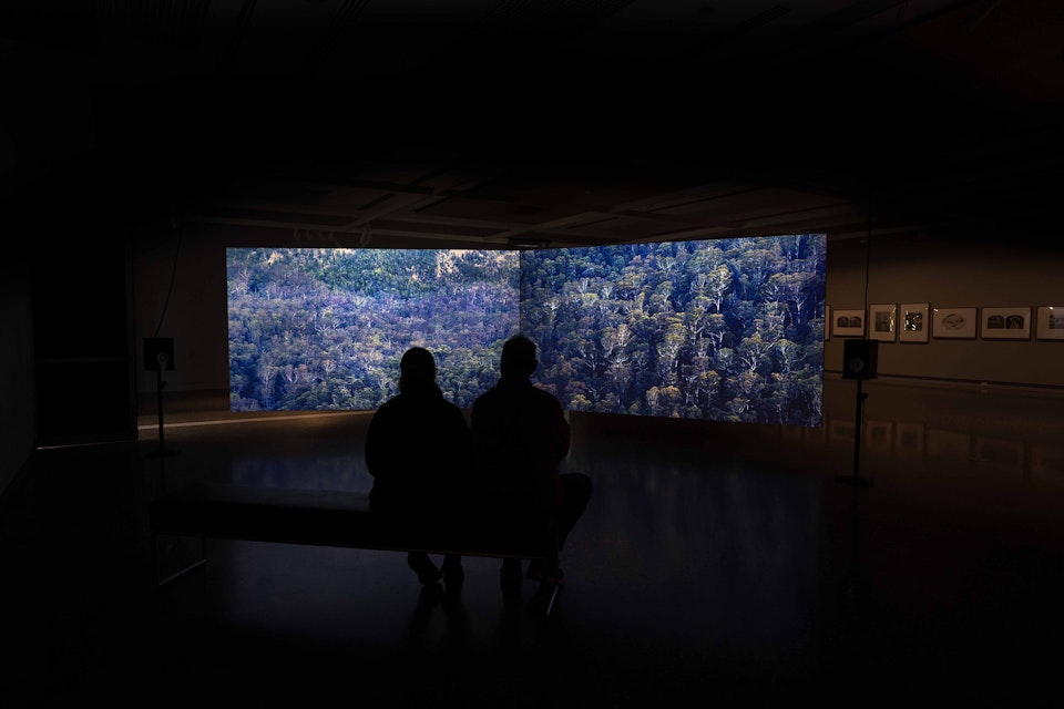 Let Me Pass Onto You - Installation view of 'Let Me Pass Onto You' in the exhibition No Easy Answers, Murray Art Museum Albury, 2023. Image by Vera Hong