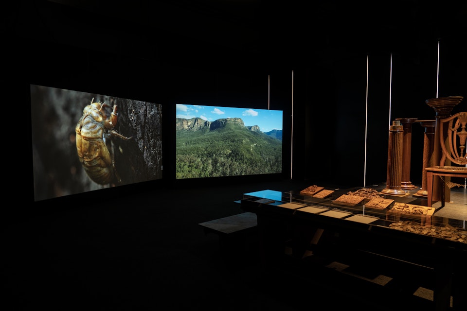Let Me Pass Onto You - Installation view of Eucalyptusdom exhibition showing 'Let Me Pass Onto You' by Vera Hong, commissioned by Powerhouse, 2021, on the left and a collection of carved timber objects from the Museum’s historic collection on the right.
Photo Vera Hong.