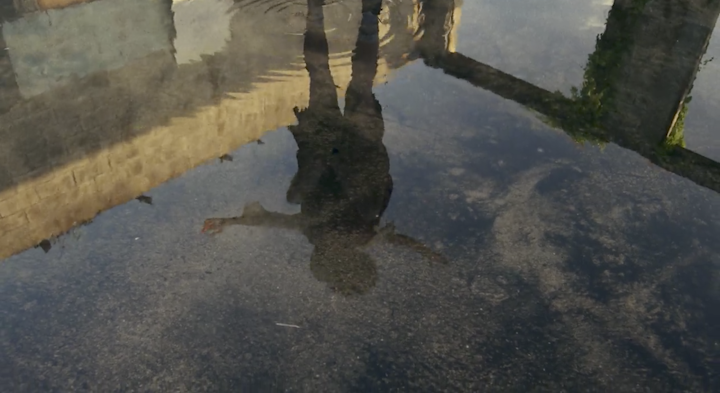 swamp_lake_reflection -