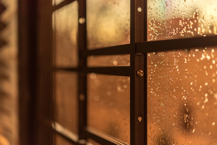 rain•y days
