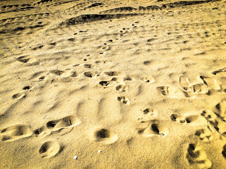leave•ing a mark
