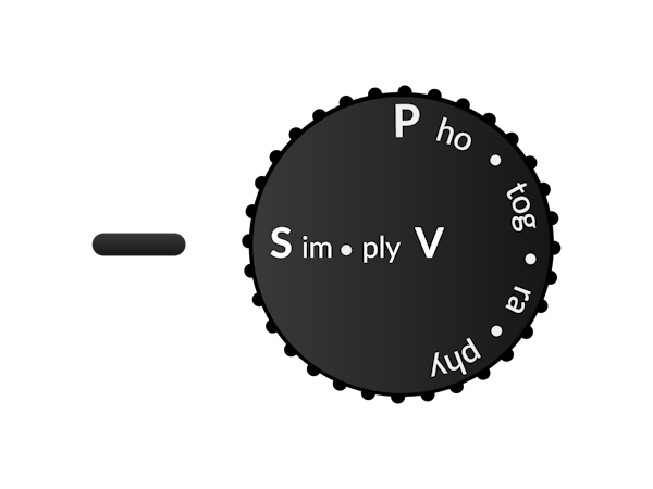 sim•ply v pho•tog•ra•phy