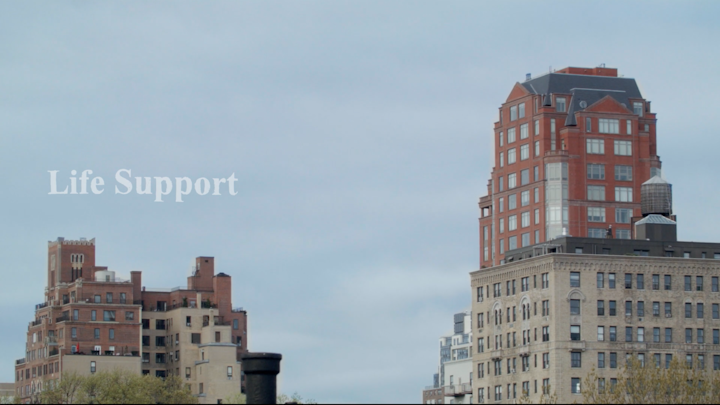 Life Support: A Web Series