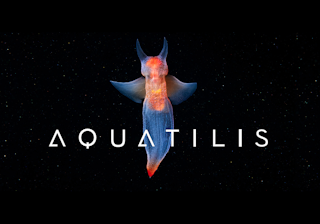AQUATILIS