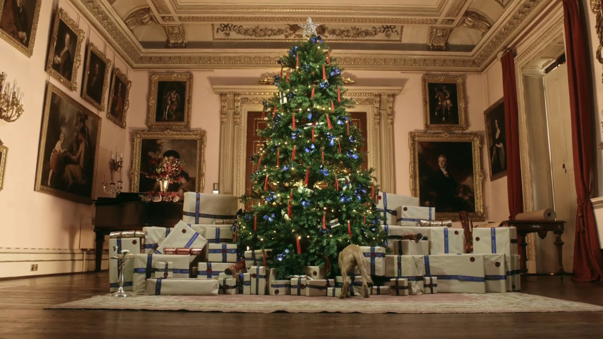 Fairfax Favour Christmas Commercial SAL REDPATH Fairfax Favour Christmas Commercial SAL REDPATH