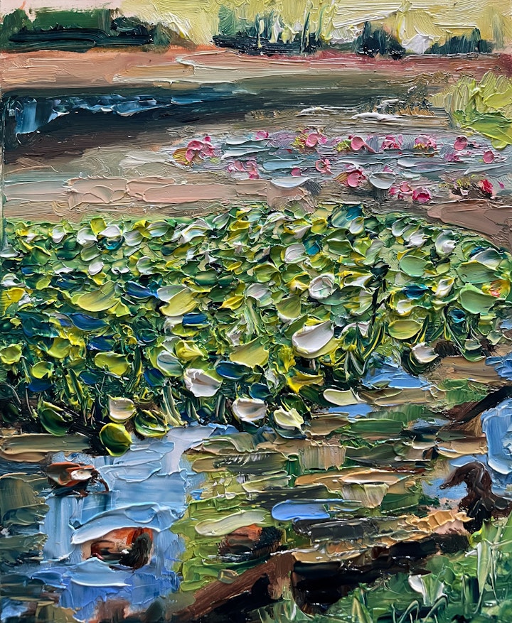 Mount Edgcumbe Water Lilly Pond