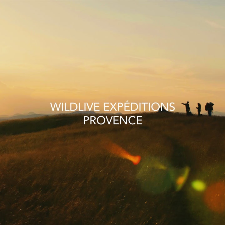 jmage - BANDE ANNONCE WILDLIVE EXPEDITIONS PROVENCE