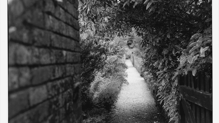 Home of Springs, Trengwainton walled garden corridor