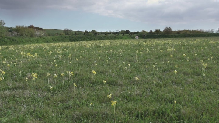 Barbara Santi - Embodied Space - Kestle Barton
