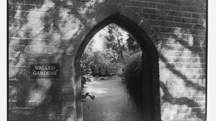 Home of Springs, Trengwainton walled garden