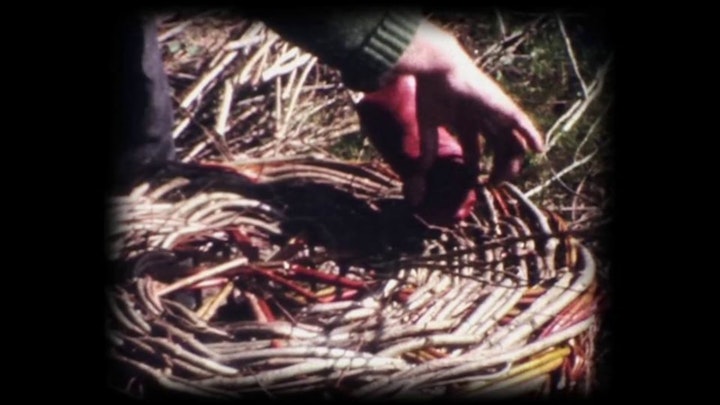 Barbara Santi - From the Dell to the Ocean