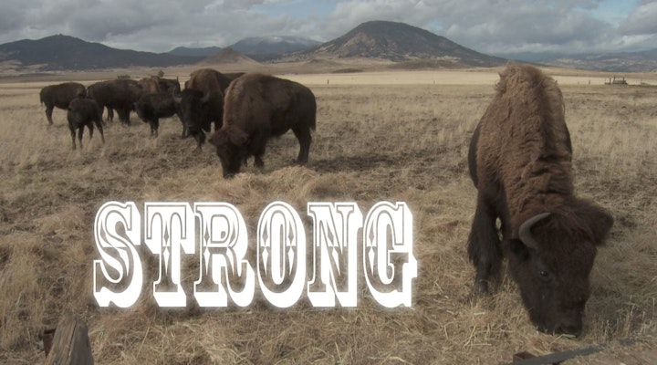 Strong - Documentary