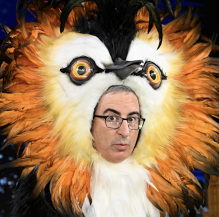 John Oliver Campaigns for a New Zealand Bird of the Century Contest Dressed as a Pūteketeke Bird