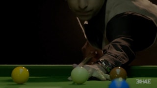 Perfection of the Craft Pankaj Advani 15 time World Champion