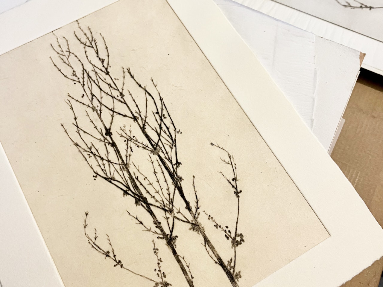 Dock flower drypoint chine colle