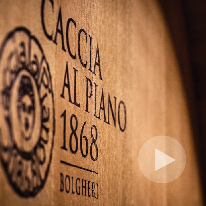 Michael Loos - VIDEO CREATION Caccia al Piano Winery