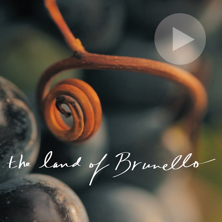Michael Loos - VIDEO CREATION The Land of Brunello