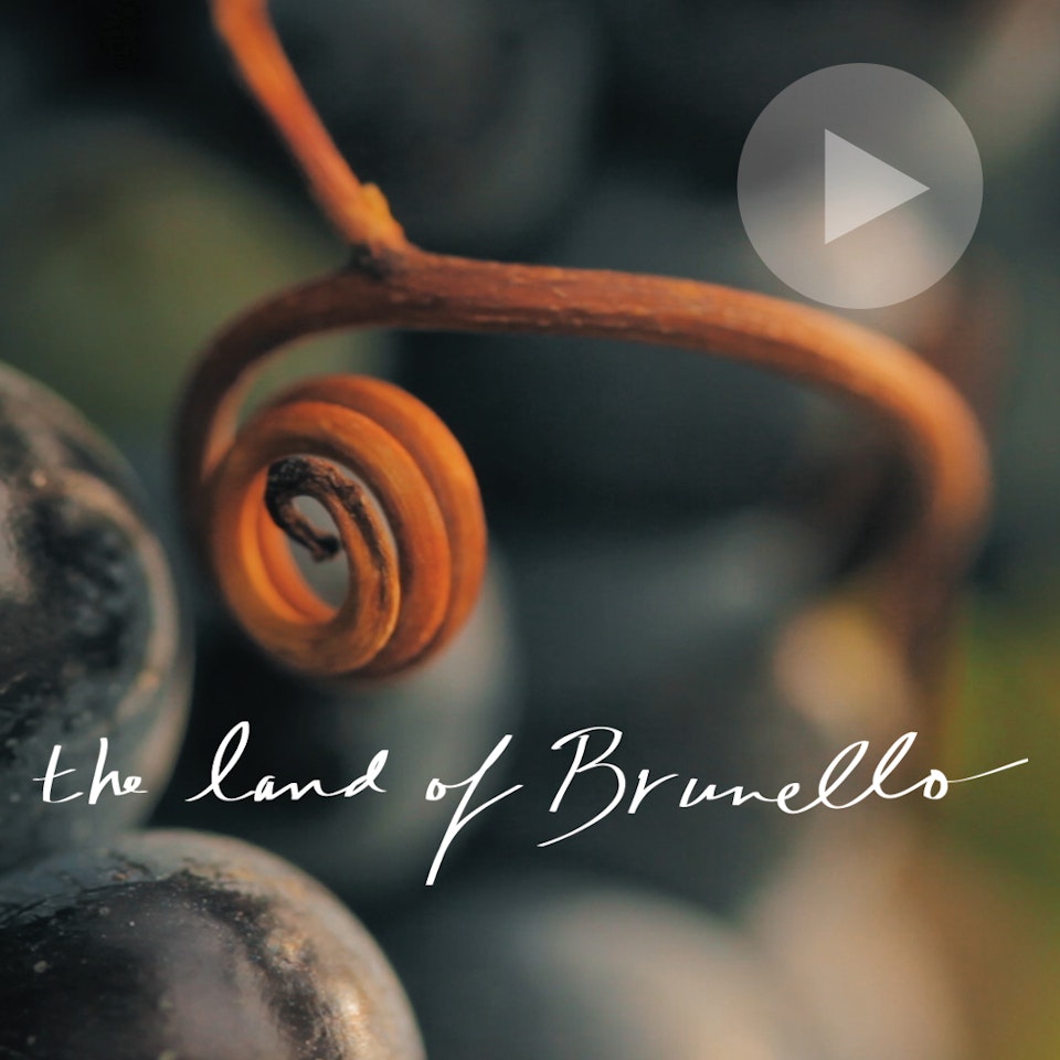 Michael Loos - The Land of Brunello